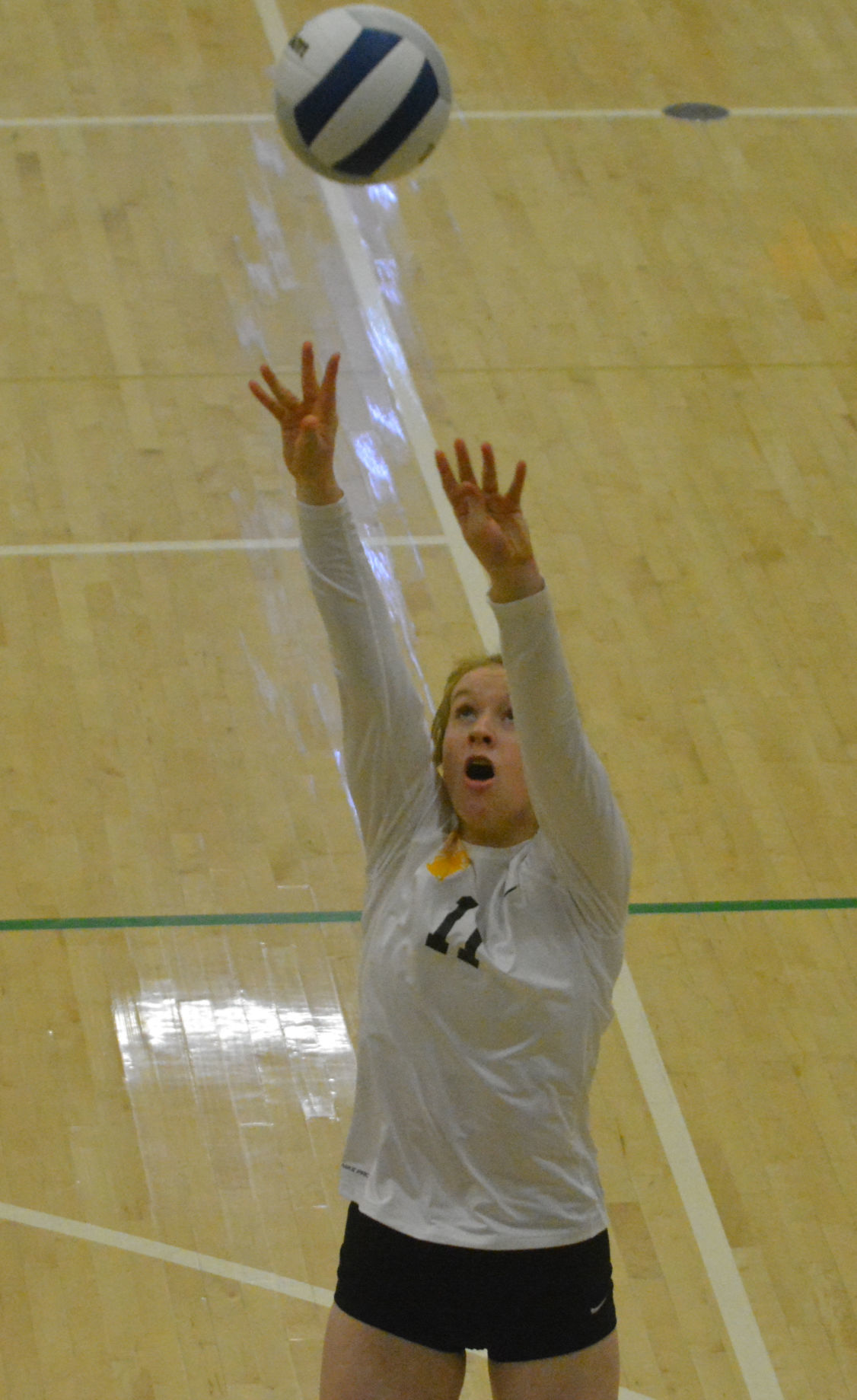 Philomath Snapshots: Laura Noble